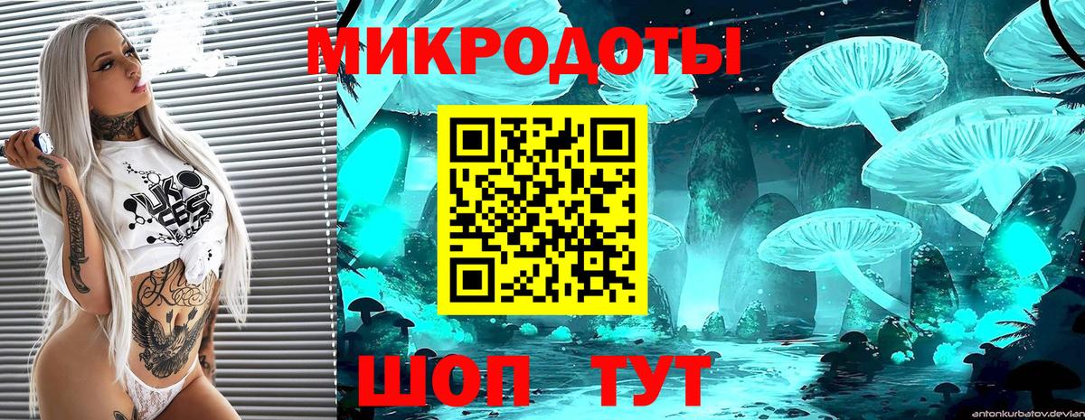 Галлюциногенные грибы ЛСД  закладка  Касимов  Вход с VPN 